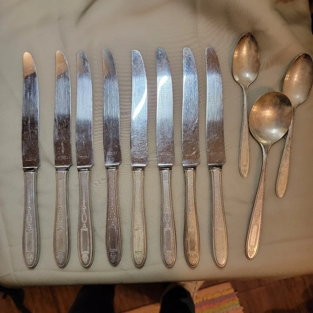 Oneida stainless 1921 knifes and spoons